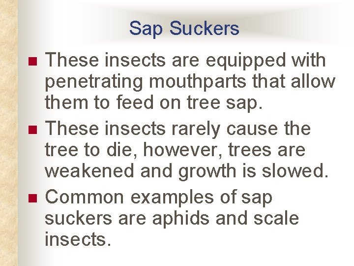 Sap Suckers n n n These insects are equipped with penetrating mouthparts that allow Sap Suckers n n n These insects are equipped with penetrating mouthparts that allow