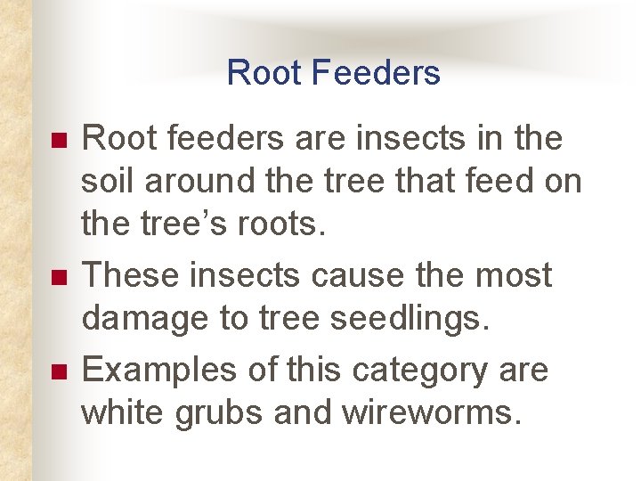Root Feeders n n n Root feeders are insects in the soil around the Root Feeders n n n Root feeders are insects in the soil around the