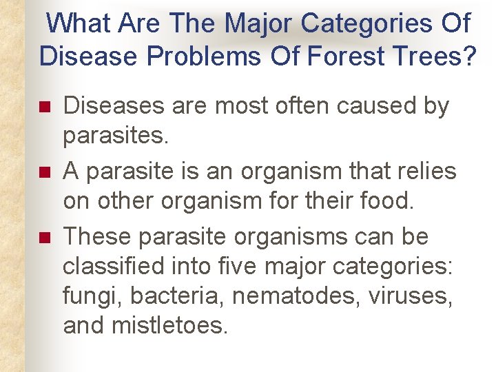 What Are The Major Categories Of Disease Problems Of Forest Trees? n n n What Are The Major Categories Of Disease Problems Of Forest Trees? n n n