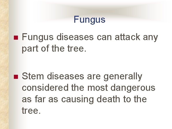 Fungus n Fungus diseases can attack any part of the tree. n Stem diseases Fungus n Fungus diseases can attack any part of the tree. n Stem diseases