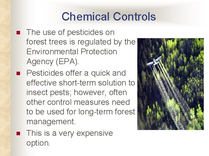 Chemical Controls n n n The use of pesticides on forest trees is regulated Chemical Controls n n n The use of pesticides on forest trees is regulated