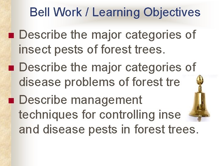 Bell Work / Learning Objectives n n n Describe the major categories of insect Bell Work / Learning Objectives n n n Describe the major categories of insect