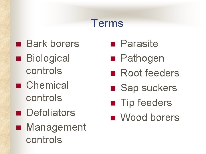 Terms n n n Bark borers Biological controls Chemical controls Defoliators Management controls n Terms n n n Bark borers Biological controls Chemical controls Defoliators Management controls n