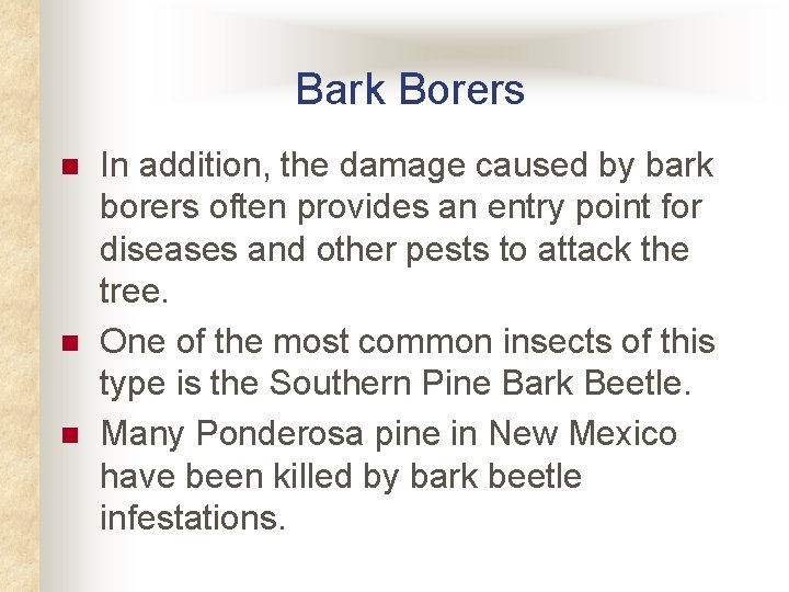 Bark Borers n n n In addition, the damage caused by bark borers often Bark Borers n n n In addition, the damage caused by bark borers often