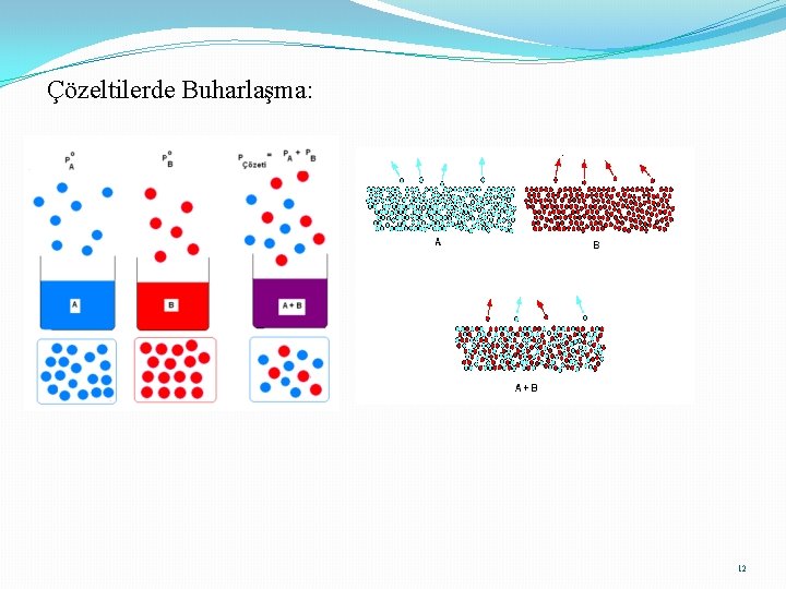Çözeltilerde Buharlaşma: 12 