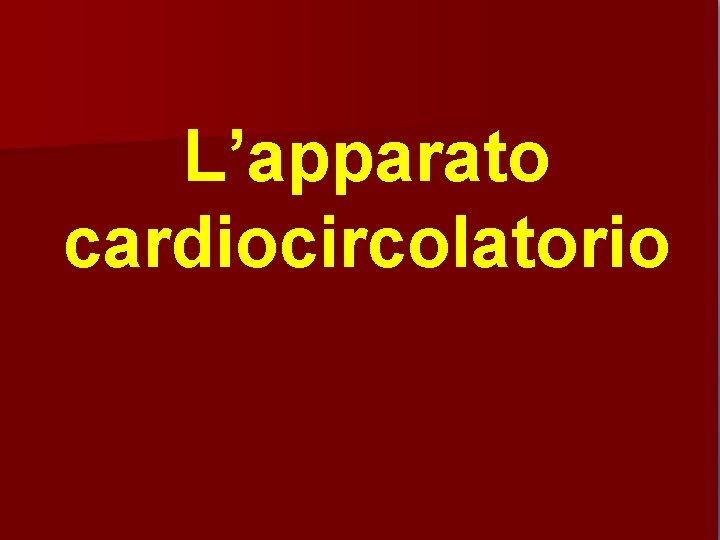L’apparato cardiocircolatorio 