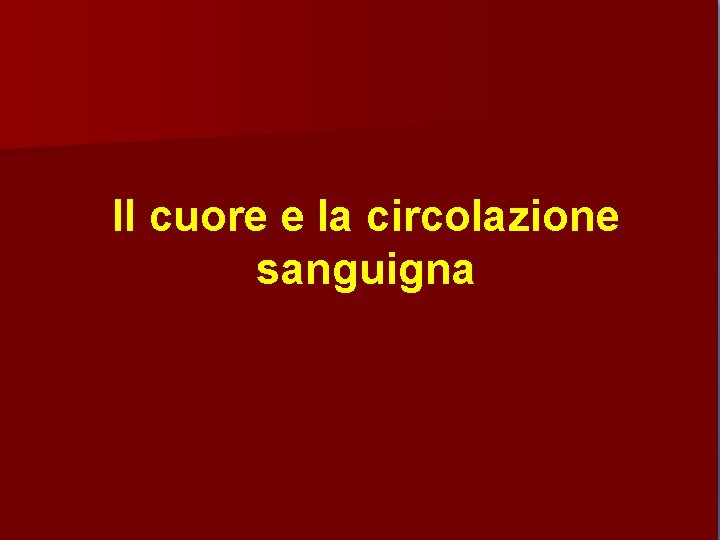 Il cuore e la circolazione sanguigna 