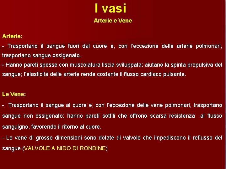 I vasi Arterie e Vene Arterie: - Trasportano il sangue fuori dal cuore e,