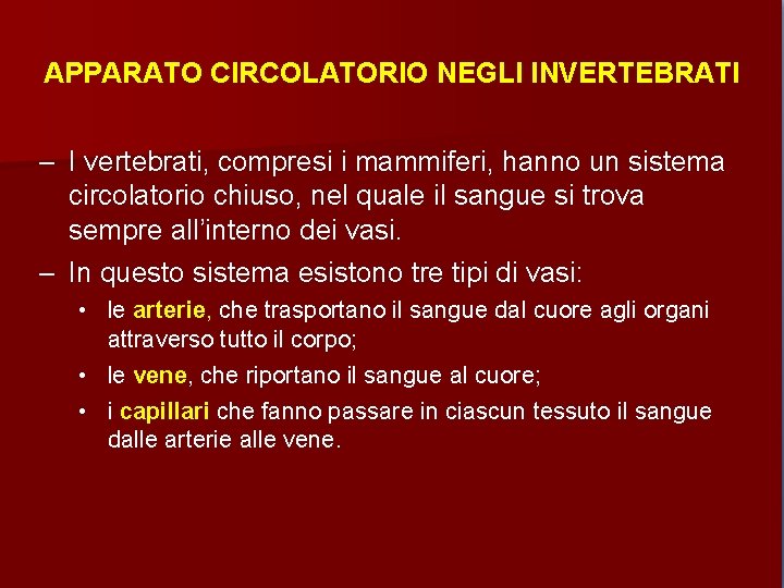 APPARATO CIRCOLATORIO NEGLI INVERTEBRATI – I vertebrati, compresi i mammiferi, hanno un sistema circolatorio