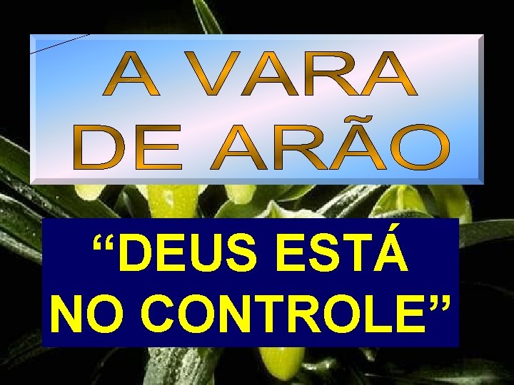 “DEUS ESTÁ NO CONTROLE” 