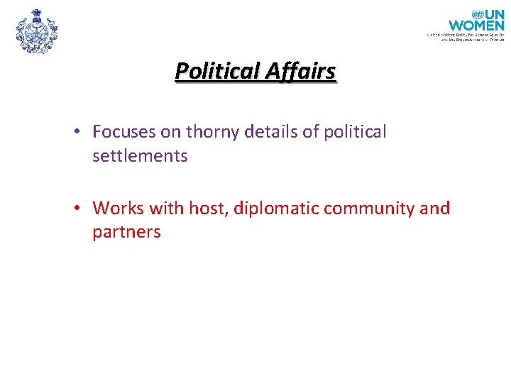 Political Affairs • Focuses on thorny details of political settlements • Works with host,