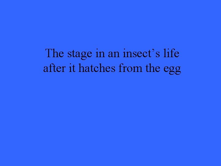 The stage in an insect’s life after it hatches from the egg 