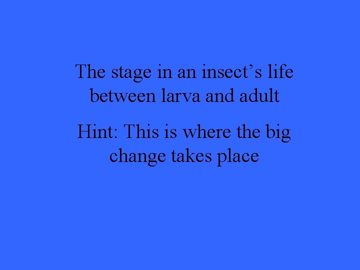 The stage in an insect’s life between larva and adult Hint: This is where