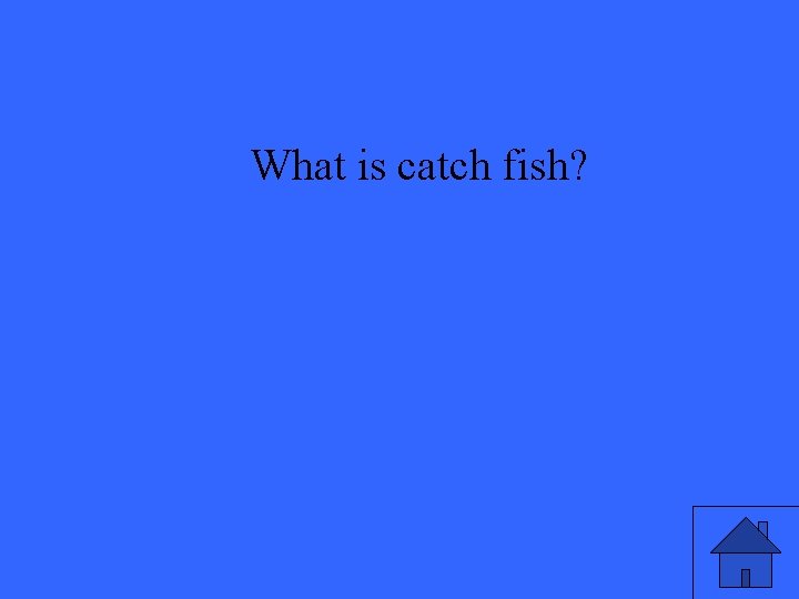 What is catch fish? 