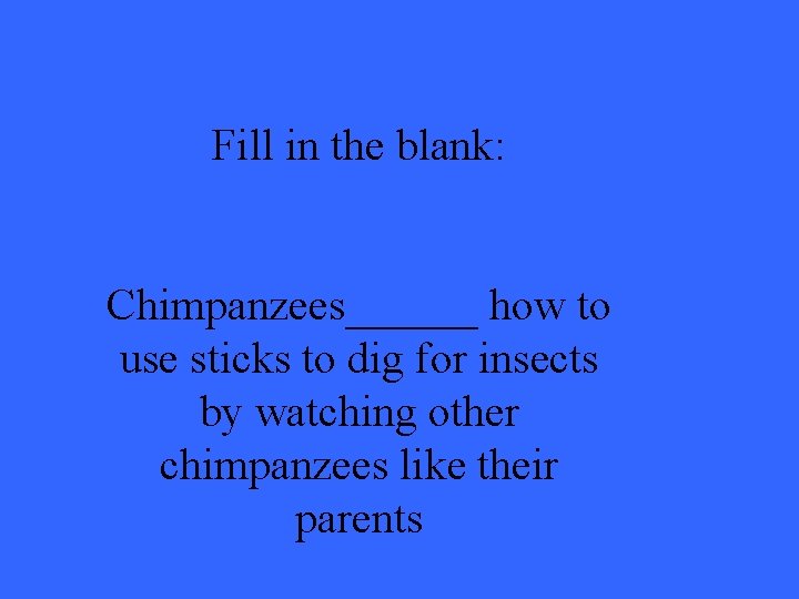 Fill in the blank: Chimpanzees______ how to use sticks to dig for insects by