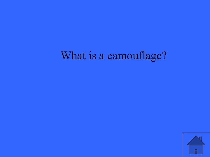 What is a camouflage? 