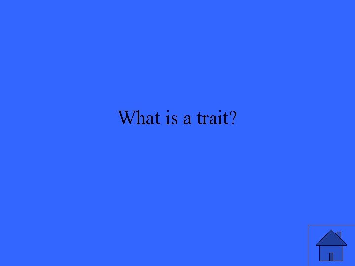 What is a trait? 