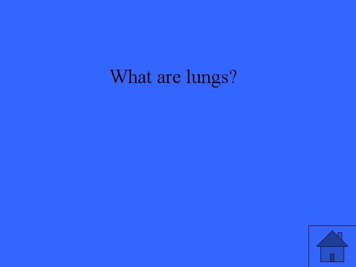 What are lungs? 