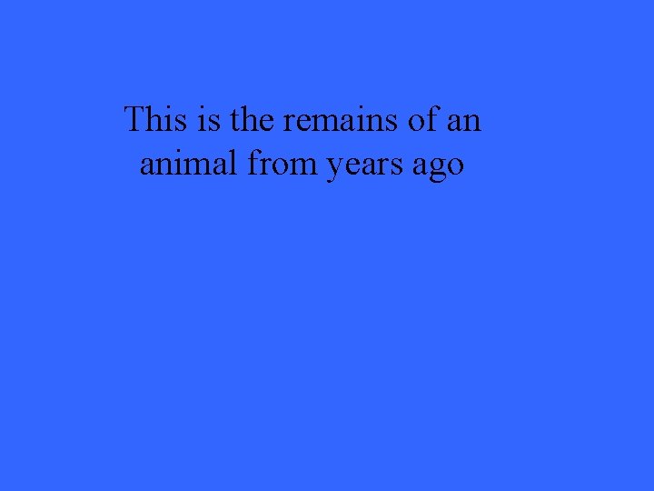 This is the remains of an animal from years ago 