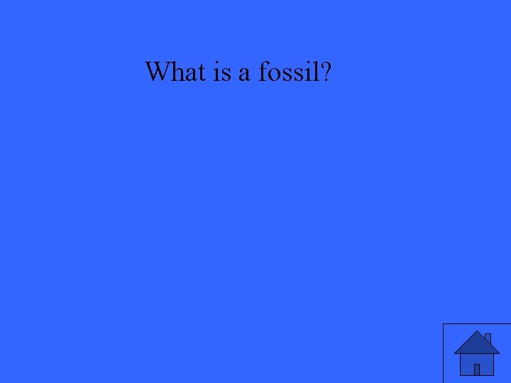 What is a fossil? 