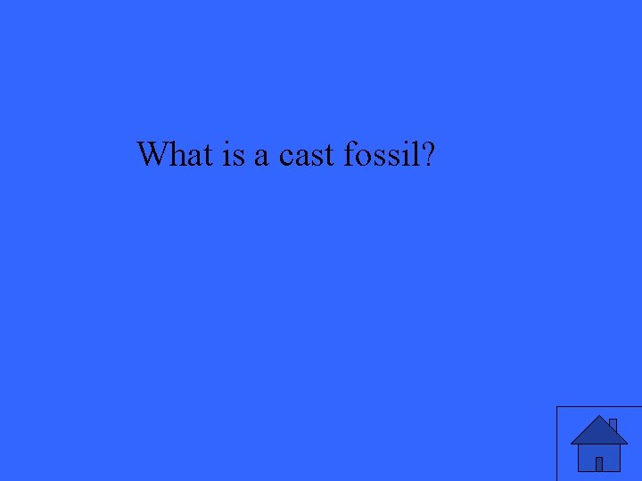 What is a cast fossil? 