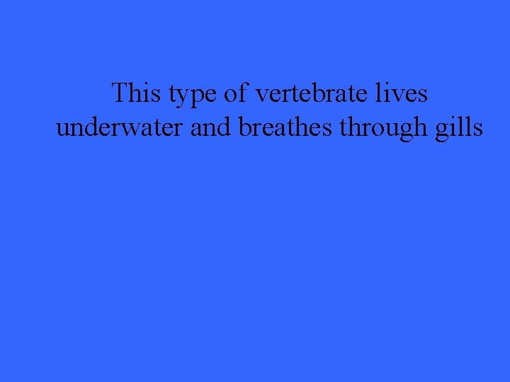 This type of vertebrate lives underwater and breathes through gills 