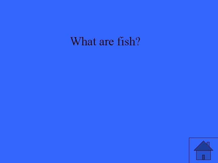 What are fish? 