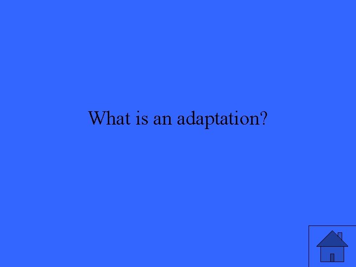 What is an adaptation? 