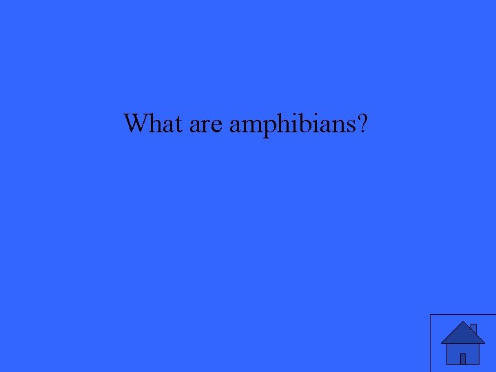 What are amphibians? 