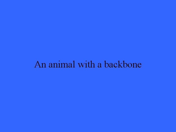 An animal with a backbone 