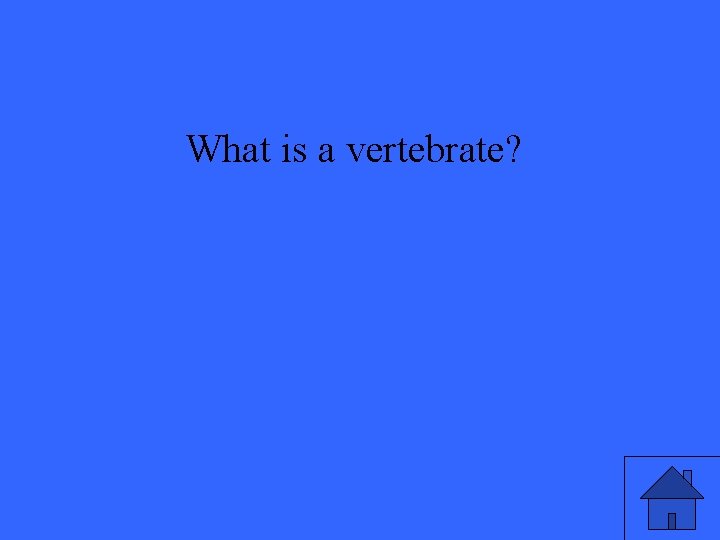 What is a vertebrate? 