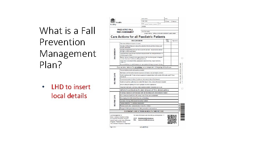 What is a Fall Prevention Management Plan? • LHD to insert local details 