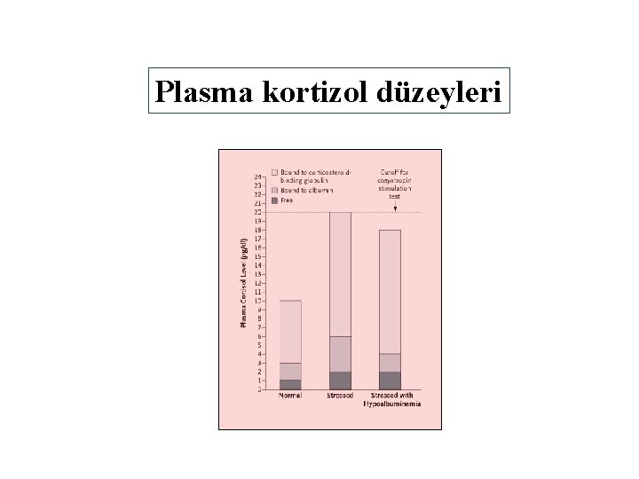 Plasma kortizol düzeyleri 