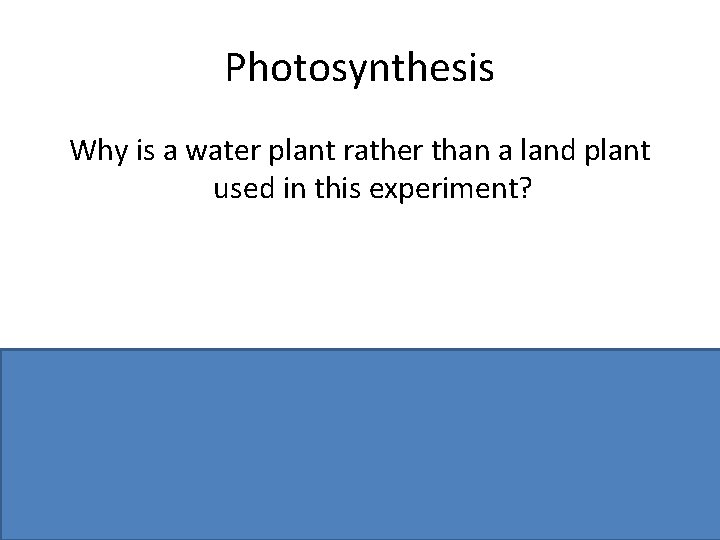 Photosynthesis Why is a water plant rather than a land plant used in this