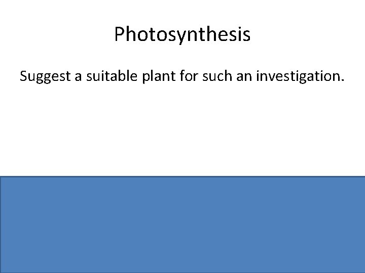 Photosynthesis Suggest a suitable plant for such an investigation. Aquatic plant or named, e.