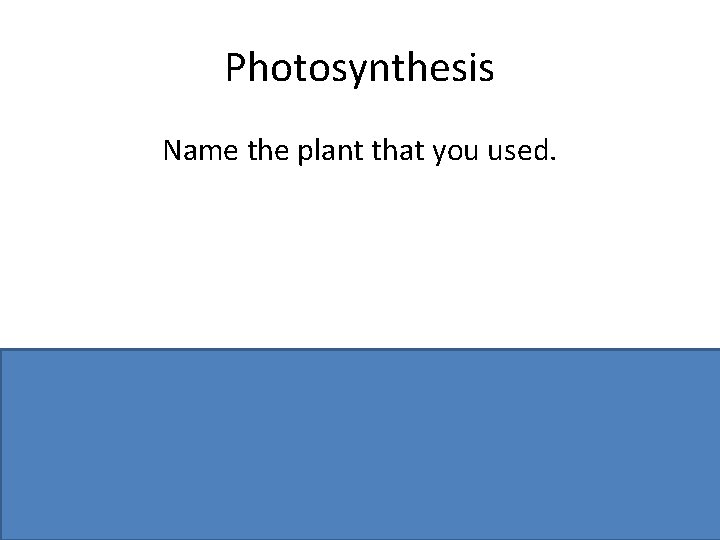 Photosynthesis Name the plant that you used. Elodea or other correctly named aquatic plant