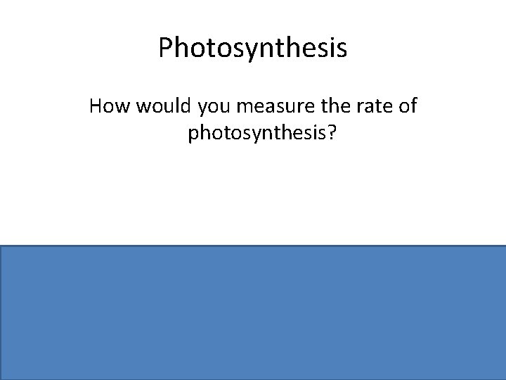 Photosynthesis How would you measure the rate of photosynthesis? Number of bubbles or volume