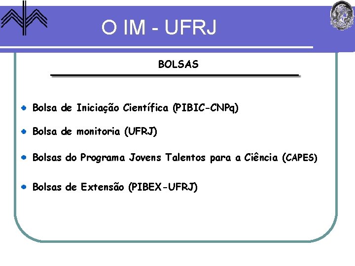 O IM - UFRJ BOLSAS Bolsa de Iniciação Científica (PIBIC-CNPq) Bolsa de monitoria (UFRJ)