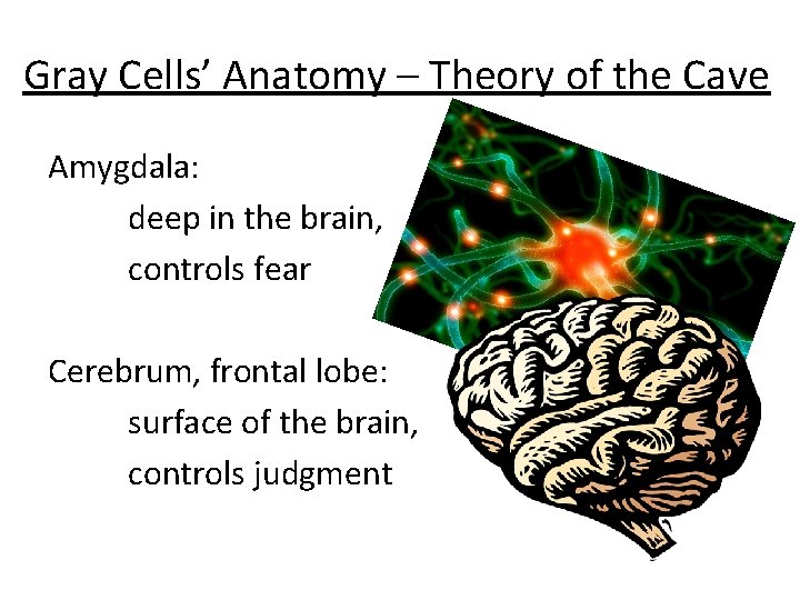 Gray Cells’ Anatomy – Theory of the Cave Amygdala: deep in the brain, controls