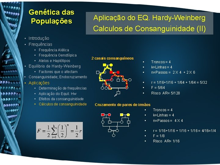 Genética das Populações Aplicação do EQ. Hardy-Weinberg Calculos de Consanguinidade (II) • Introdução •