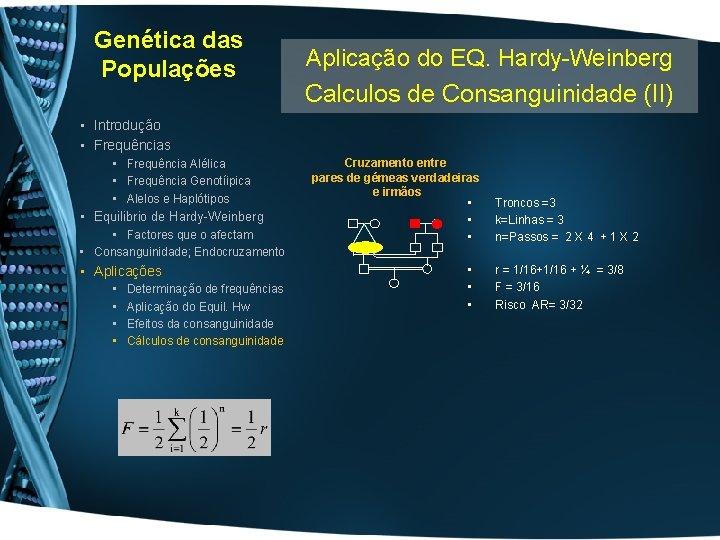 Genética das Populações Aplicação do EQ. Hardy-Weinberg Calculos de Consanguinidade (II) • Introdução •