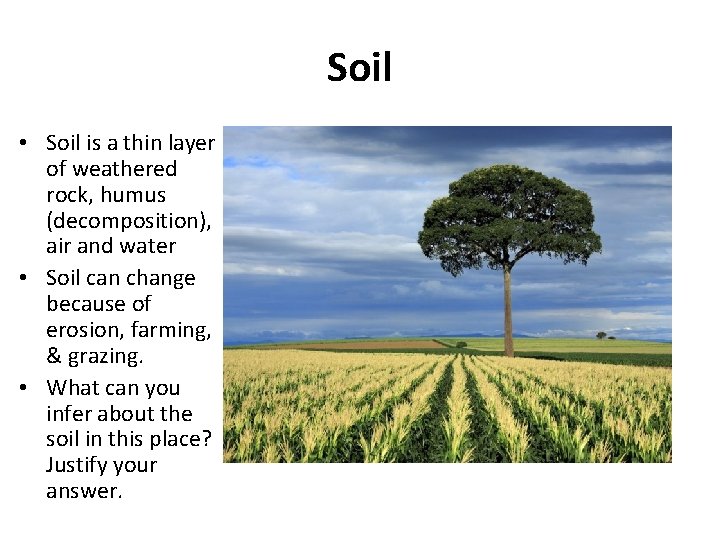 Soil • Soil is a thin layer of weathered rock, humus (decomposition), air and