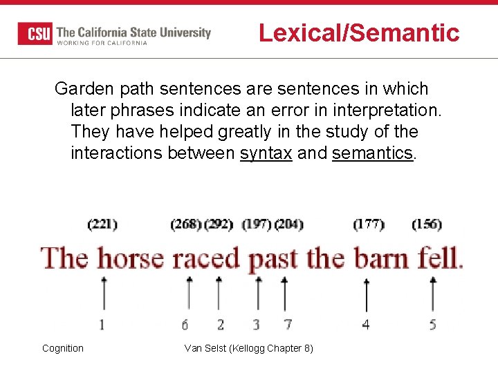 Lexical/Semantic Garden path sentences are sentences in which later phrases indicate an error in Lexical/Semantic Garden path sentences are sentences in which later phrases indicate an error in