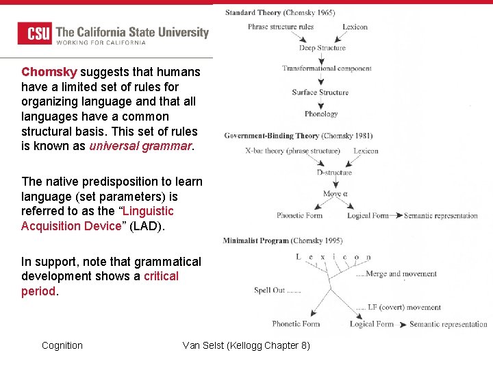 Chomsky suggests that humans have a limited set of rules for organizing language and Chomsky suggests that humans have a limited set of rules for organizing language and
