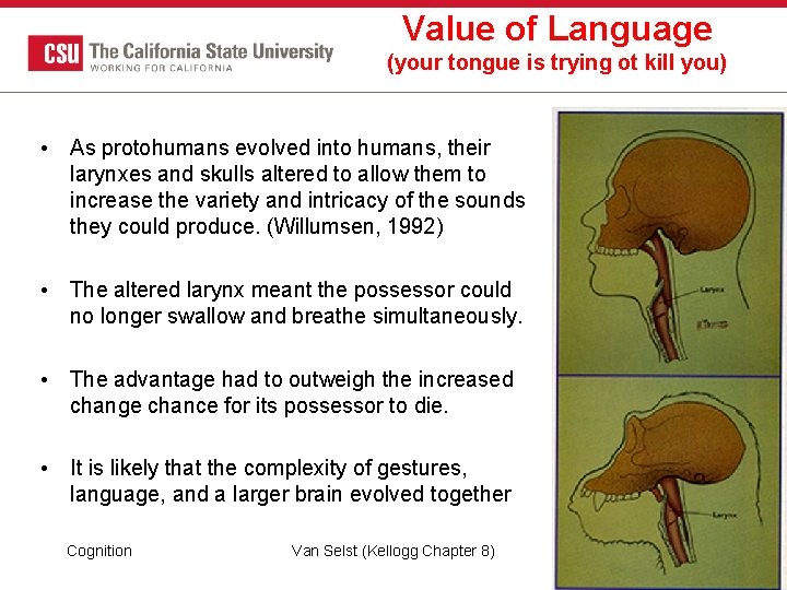 Value of Language (your tongue is trying ot kill you) • As protohumans evolved Value of Language (your tongue is trying ot kill you) • As protohumans evolved
