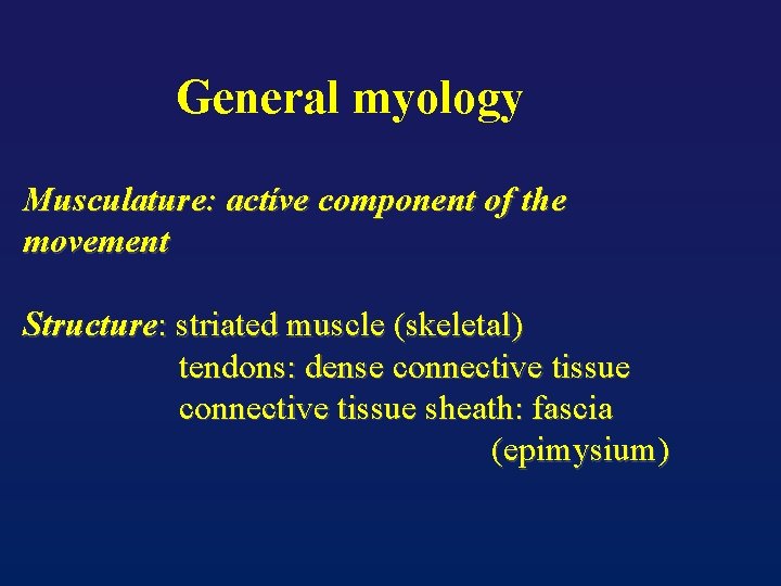 General myology Musculature: actíve component of the movement Structure: striated muscle (skeletal) tendons: dense