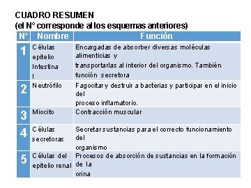 CUADRO RESUMEN (el N° corresponde al los esquemas anteriores) N° Nombre Función 1 2