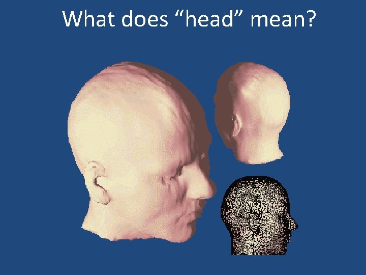 What does “head” mean? 