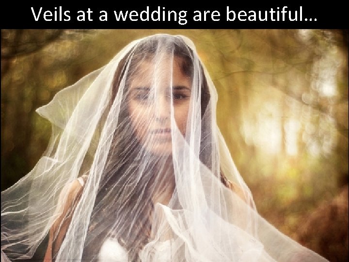 Veils at a wedding are beautiful… 