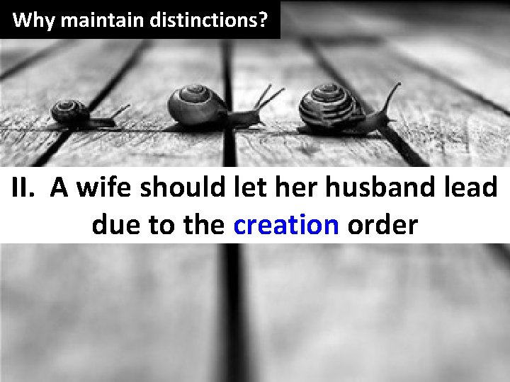 Why maintain distinctions? II. A wife should let her husband lead due to the